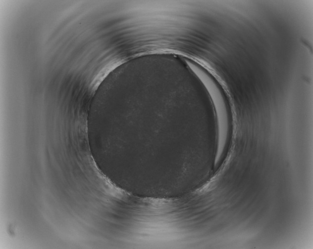 X0000099561289200806131226