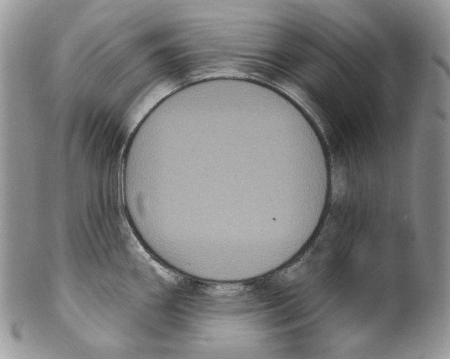 X0000099561290200806131226