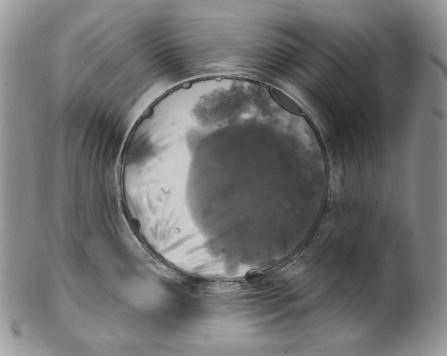 X0000099561291200806131226