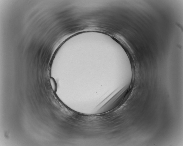 X0000099561292200806131226