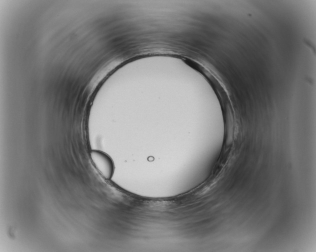 X0000099561293200806131226