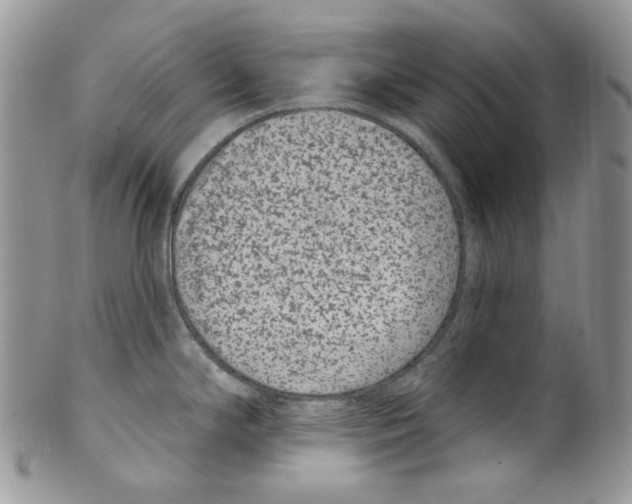 X0000099561294200806131226