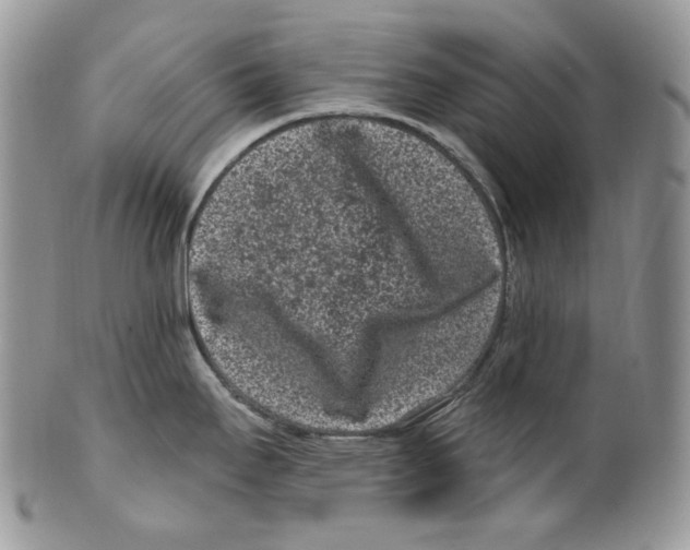 X0000099561295200806131226