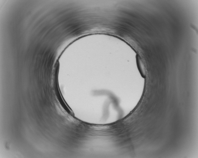 X0000099561296200806131226