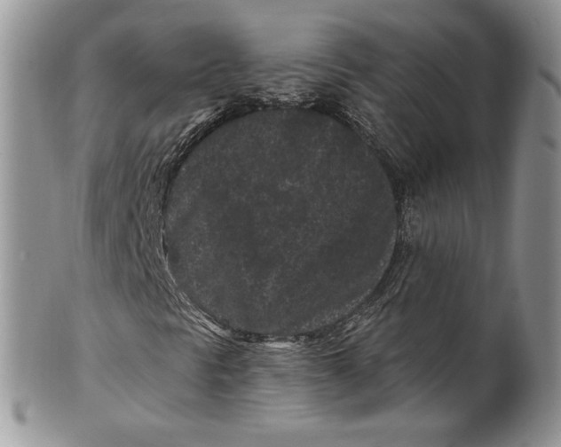 X0000099561297200806131225