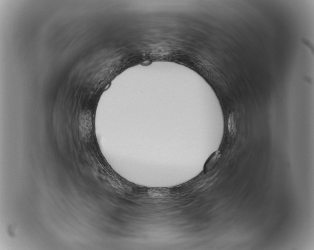 X0000099561299200806131225