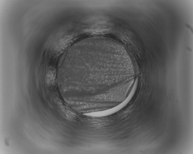 X0000099561300200806131225