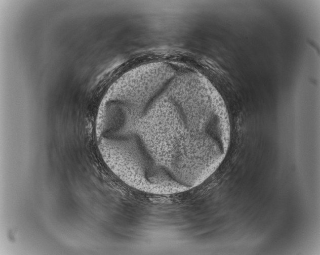 X0000099561302200806131225