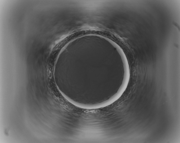 X0000099561303200806131225