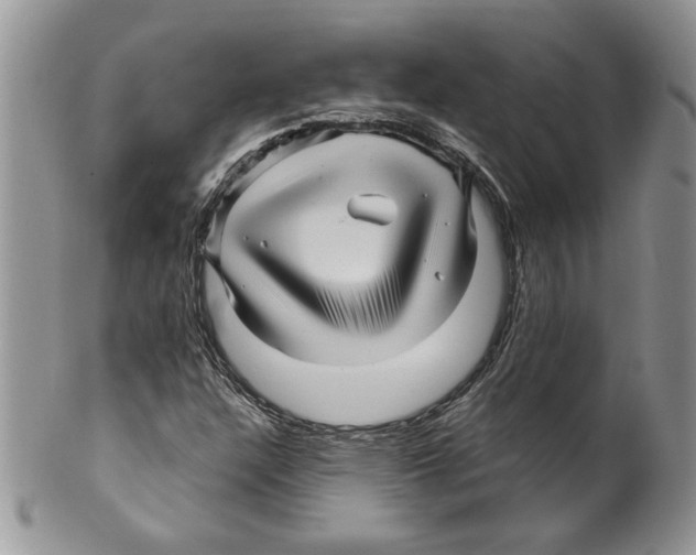 X0000099561304200806131225