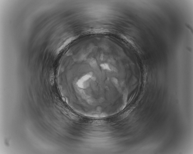 X0000099561306200806131225