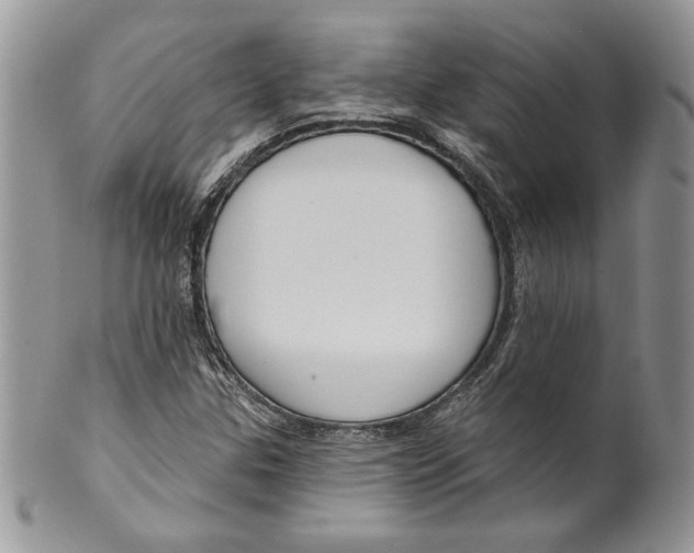 X0000099561307200806131225