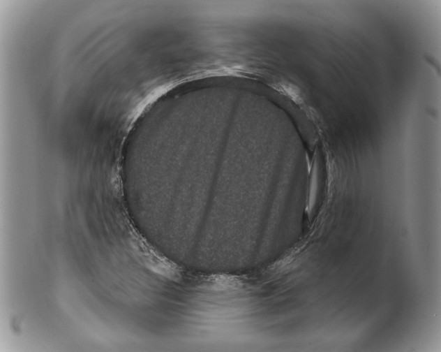 X0000099561308200806131225