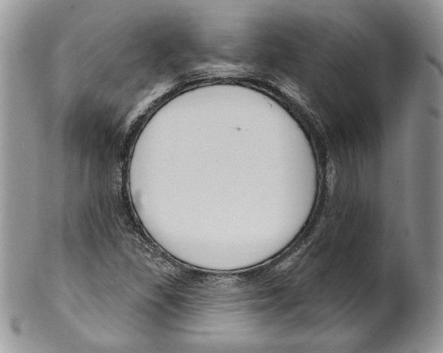 X0000099561309200806131225