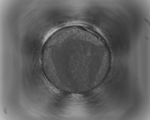 X0000099561312200806131225