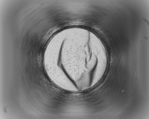 X0000099561313200806131225