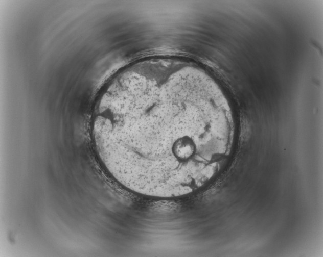 X0000099561314200806131225