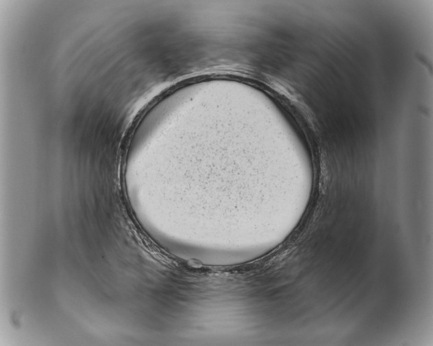 X0000099561316200806131225