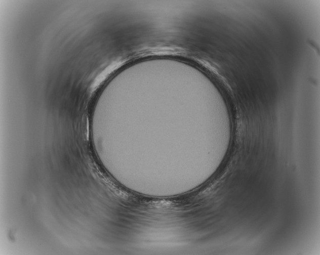 X0000099561317200806131225