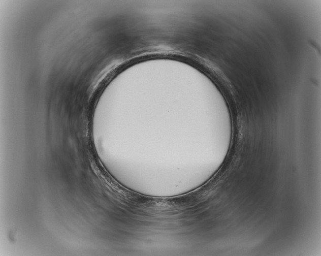 X0000099561318200806131225