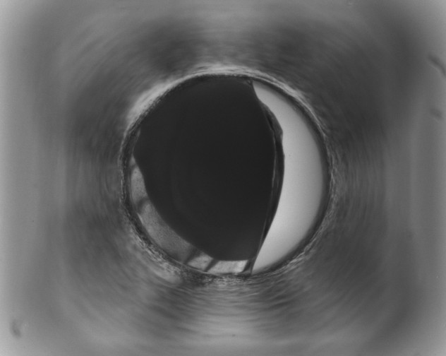 X0000099561319200806131225