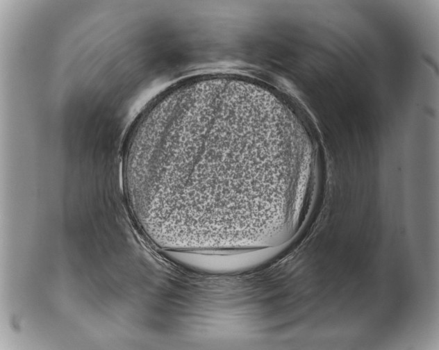 X0000099561320200806131225