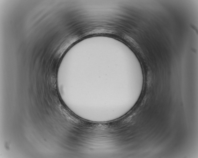 X0000099561321200806131225