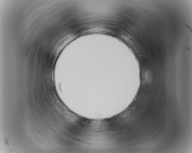 X0000099561322200806131225