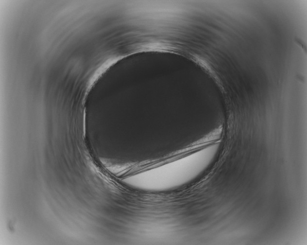 X0000099561323200806131225