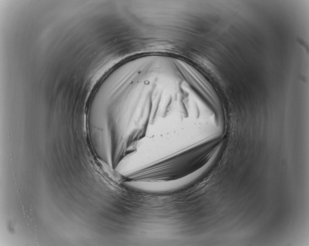 X0000099561324200806131225