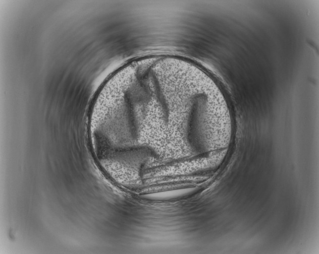 X0000099561325200806131225