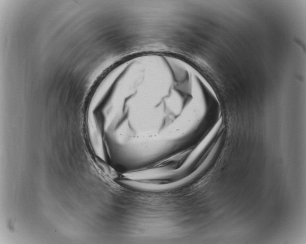 X0000099561326200806131225