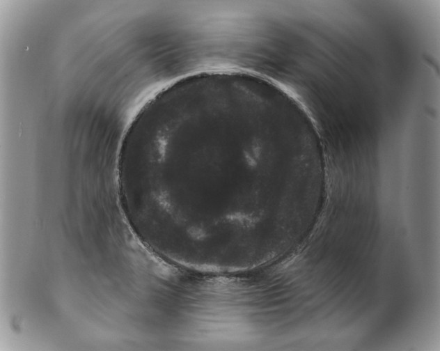 X0000099561327200806131225