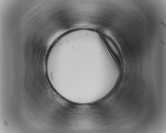 X0000099561328200806131225