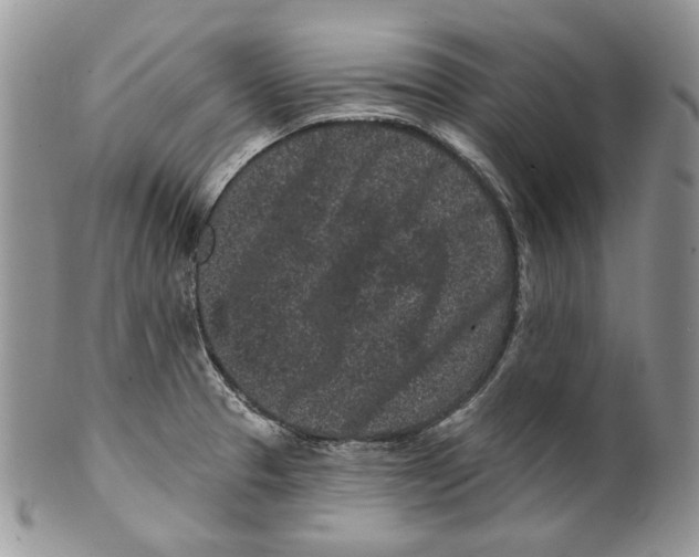 X0000099561329200806131225