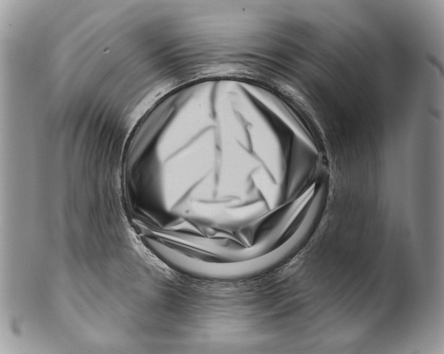 X0000099561330200806131225