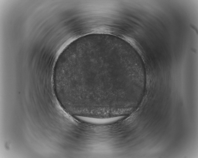 X0000099561331200806131225