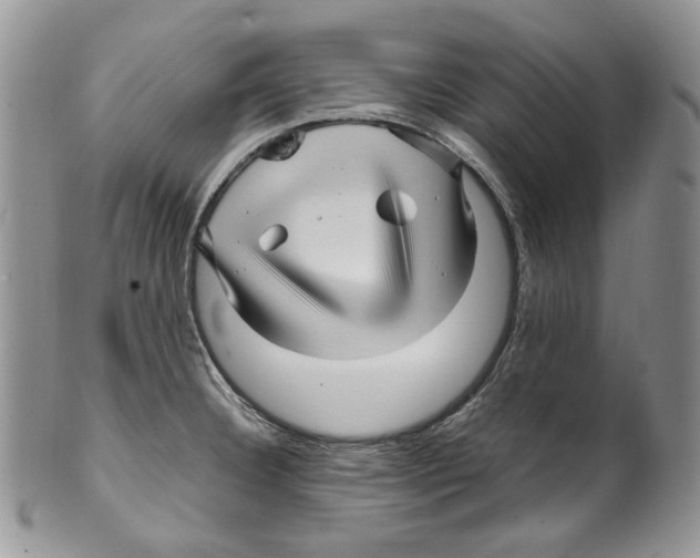 X0000099561332200806131225