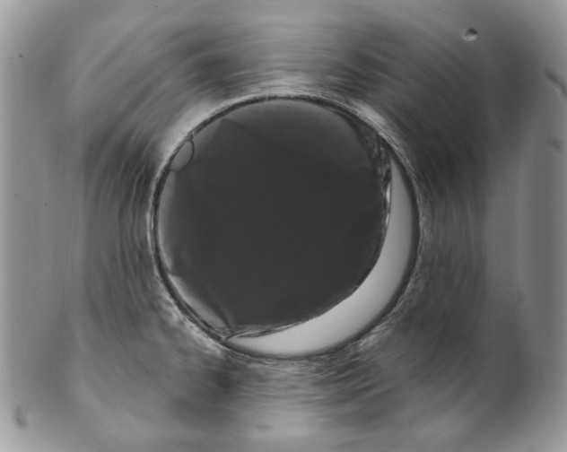 X0000099561334200806131225