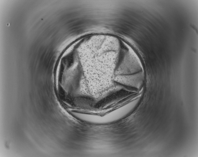 X0000099561335200806131225