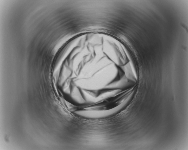 X0000099561336200806131225