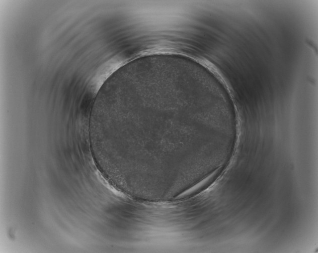 X0000099561337200806131225