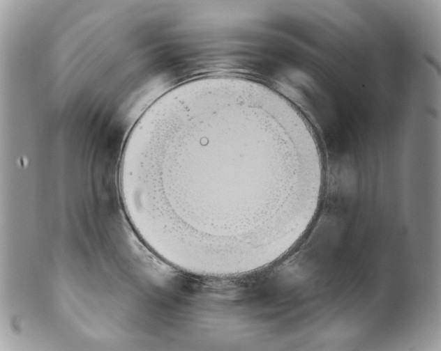 X0000099561338200806131225