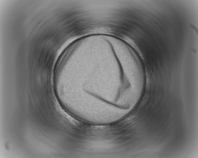 X0000099561339200806131225