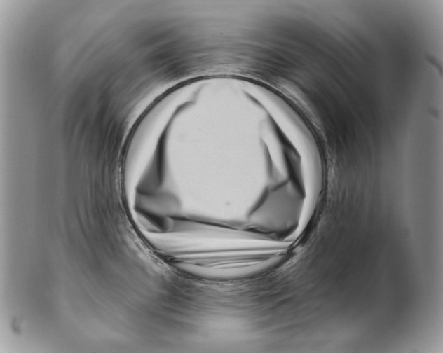 X0000099561340200806131225