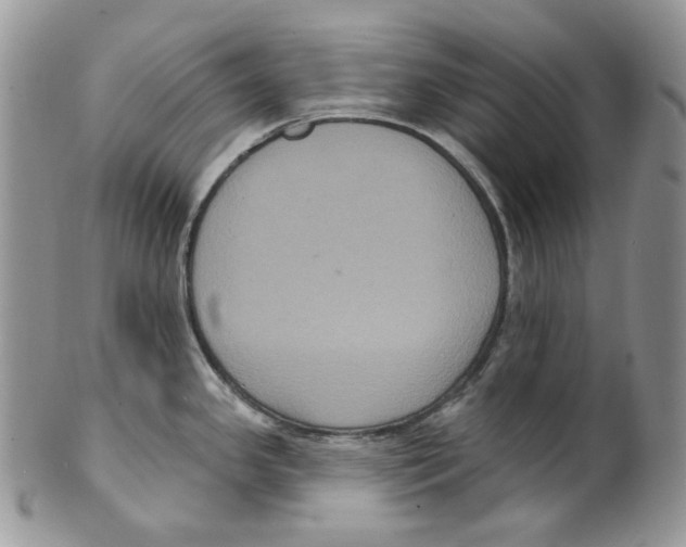 X0000099561341200806131225