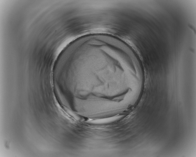 X0000099561342200806131226