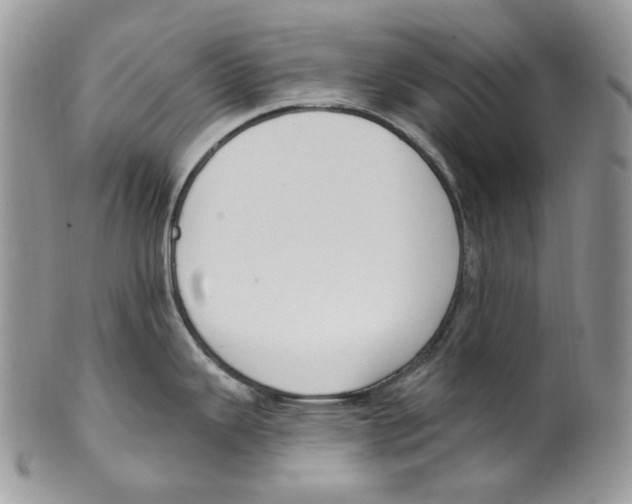 X0000099561343200806131226