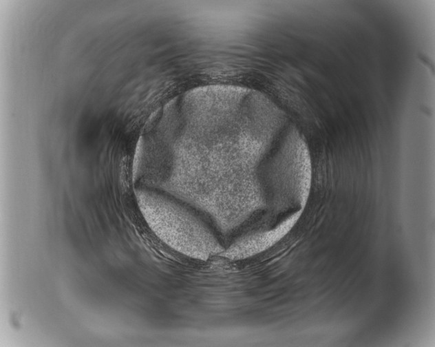 X0000099561346200806131225