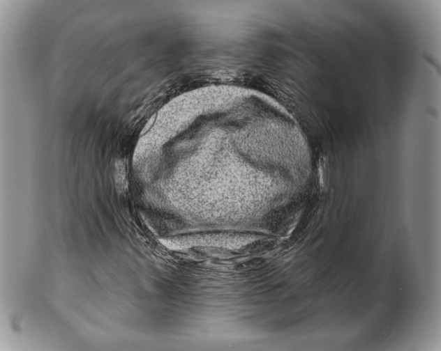 X0000099561347200806131225